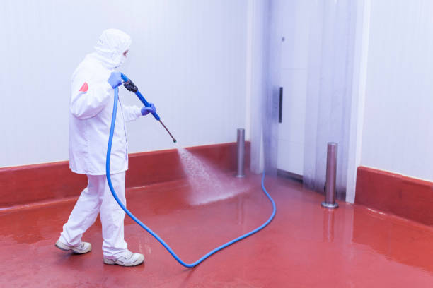 Best Paint Preparation  in Newark, TX